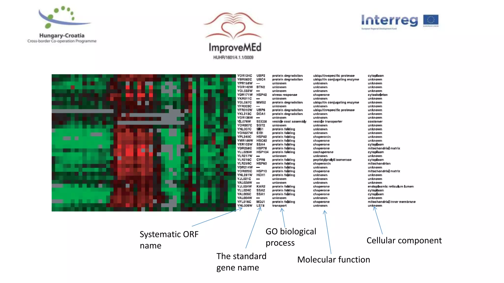 Systematic ORF
name
The standard
gene name
GO biological
process
Molecular function
Cellular component
 