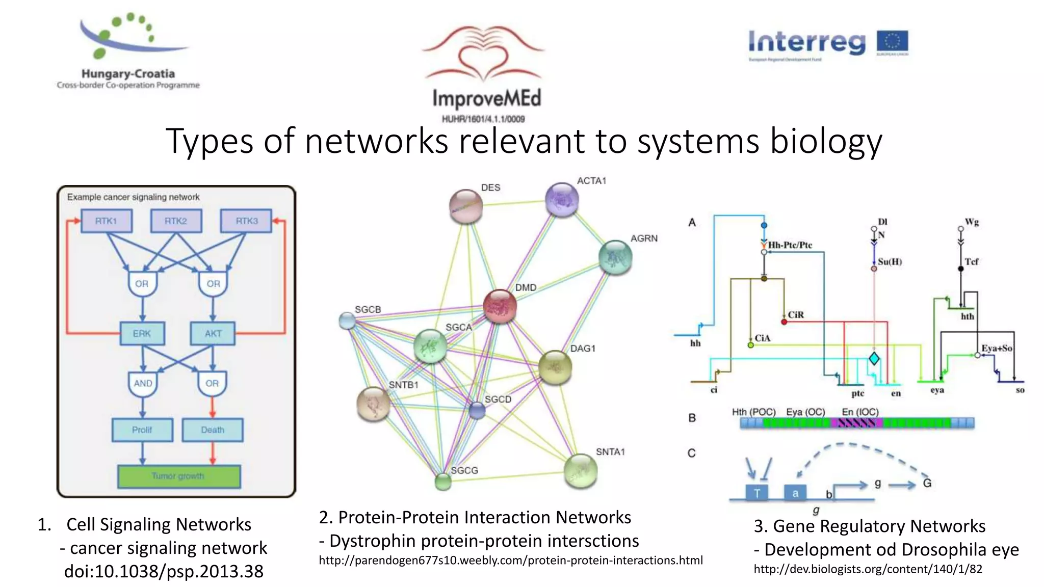 Types of networks relevant to systems biology
1. Cell Signaling Networks
- cancer signaling network
doi:10.1038/psp.2013.38
2. Protein-Protein Interaction Networks
- Dystrophin protein-protein intersctions
http://parendogen677s10.weebly.com/protein-protein-interactions.html
3. Gene Regulatory Networks
- Development od Drosophila eye
http://dev.biologists.org/content/140/1/82
 