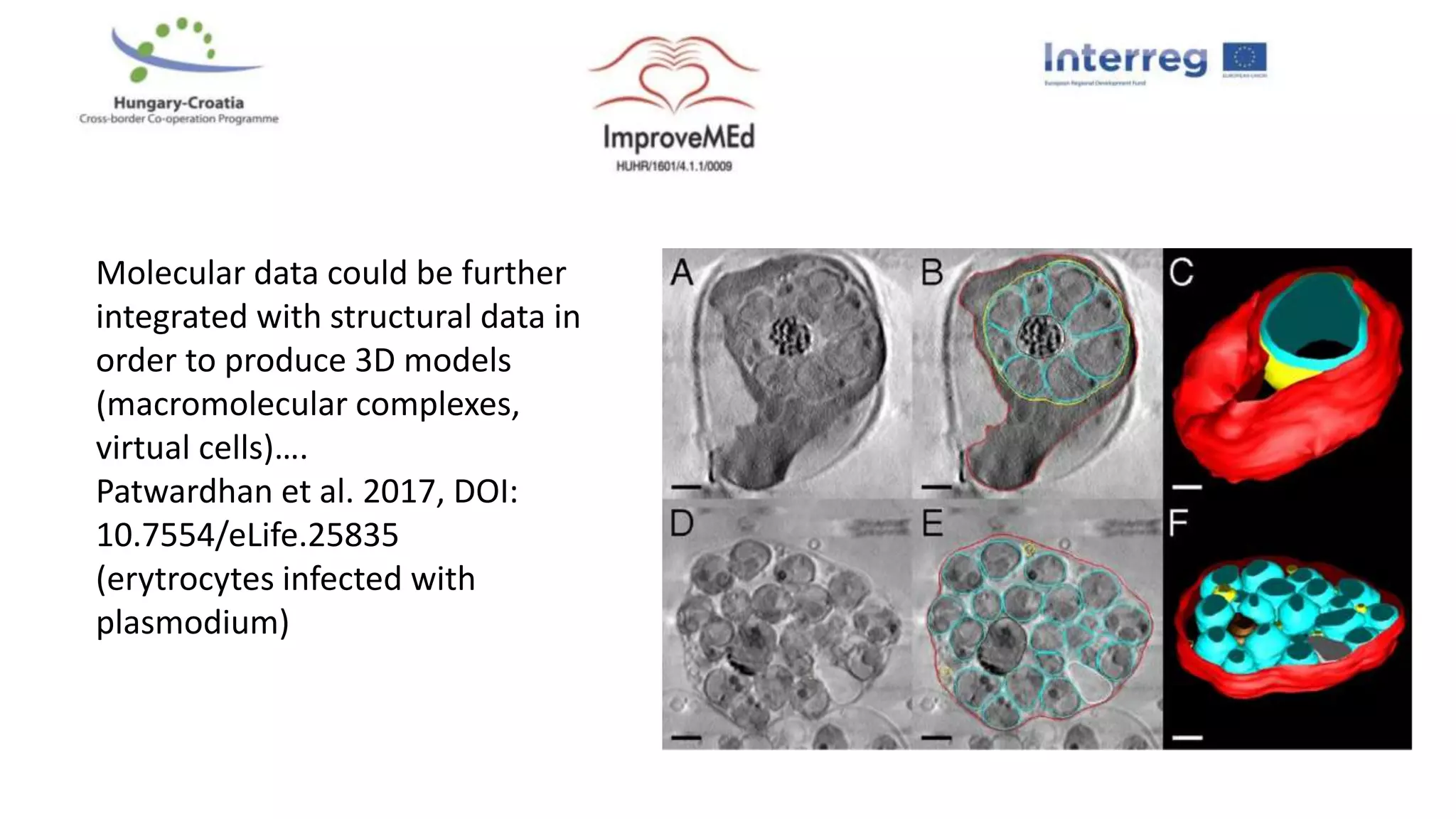 Molecular data could be further
integrated with structural data in
order to produce 3D models
(macromolecular complexes,
virtual cells)….
Patwardhan et al. 2017, DOI:
10.7554/eLife.25835
(erytrocytes infected with
plasmodium)
 