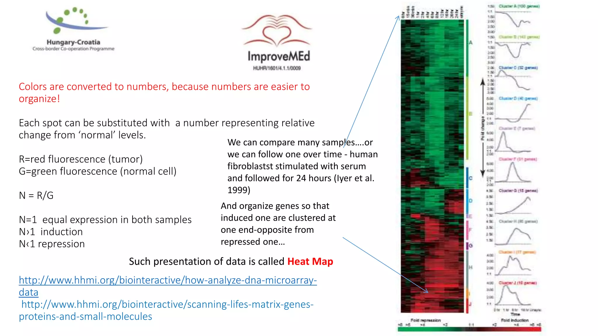 Colors are converted to numbers, because numbers are easier to
organize!
Each spot can be substituted with a number representing relative
change from ‘normal’ levels.
R=red fluorescence (tumor)
G=green fluorescence (normal cell)
N = R/G
N=1 equal expression in both samples
N›1 induction
N‹1 repression
http://www.hhmi.org/biointeractive/how-analyze-dna-microarray-
data
http://www.hhmi.org/biointeractive/scanning-lifes-matrix-genes-
proteins-and-small-molecules
We can compare many samples….or
we can follow one over time - human
fibroblastst stimulated with serum
and followed for 24 hours (Iyer et al.
1999)
And organize genes so that
induced one are clustered at
one end-opposite from
repressed one…
Such presentation of data is called Heat Map
 