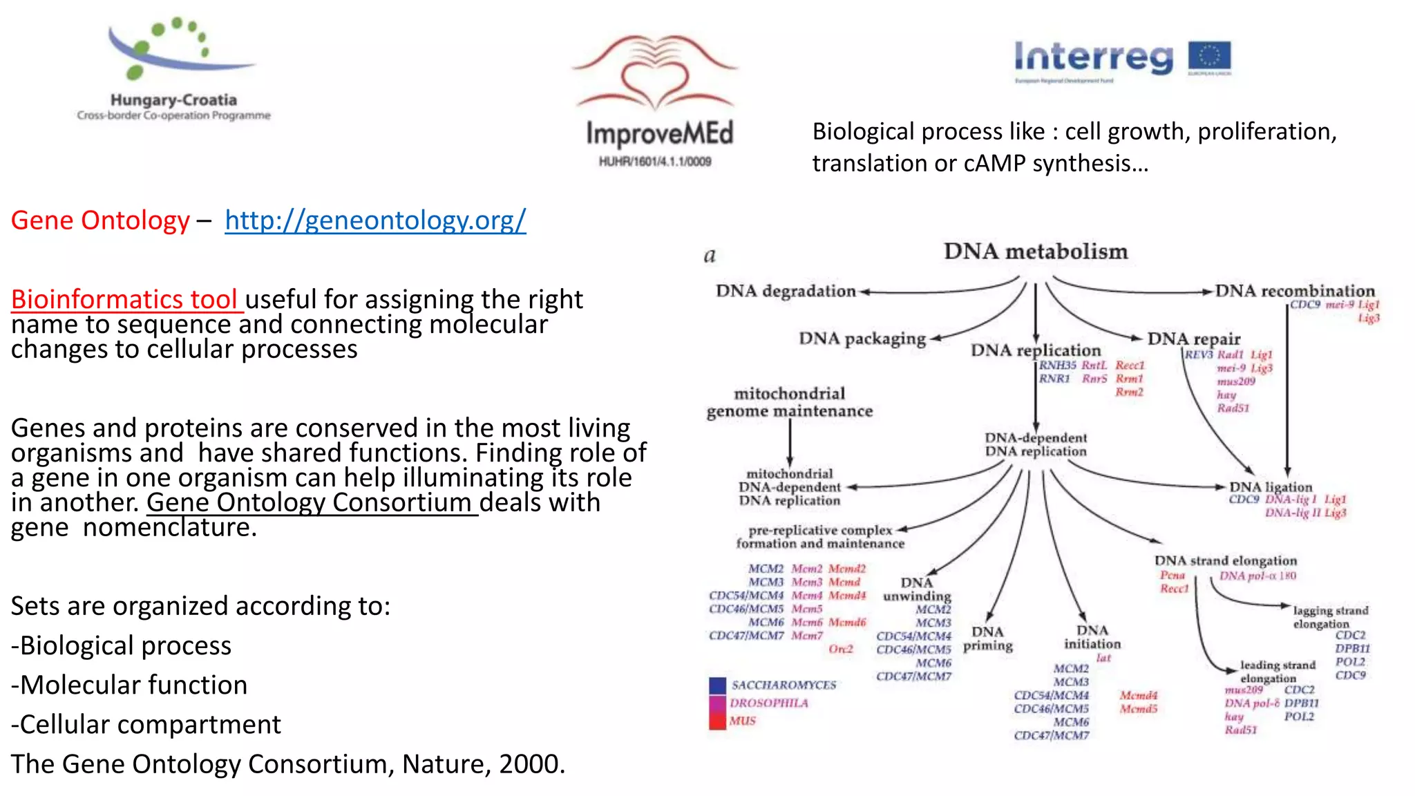 Gene Ontology – http://geneontology.org/
Bioinformatics tool useful for assigning the right
name to sequence and connecting molecular
changes to cellular processes
Genes and proteins are conserved in the most living
organisms and have shared functions. Finding role of
a gene in one organism can help illuminating its role
in another. Gene Ontology Consortium deals with
gene nomenclature.
Sets are organized according to:
-Biological process
-Molecular function
-Cellular compartment
The Gene Ontology Consortium, Nature, 2000.
Biological process like : cell growth, proliferation,
translation or cAMP synthesis…
 