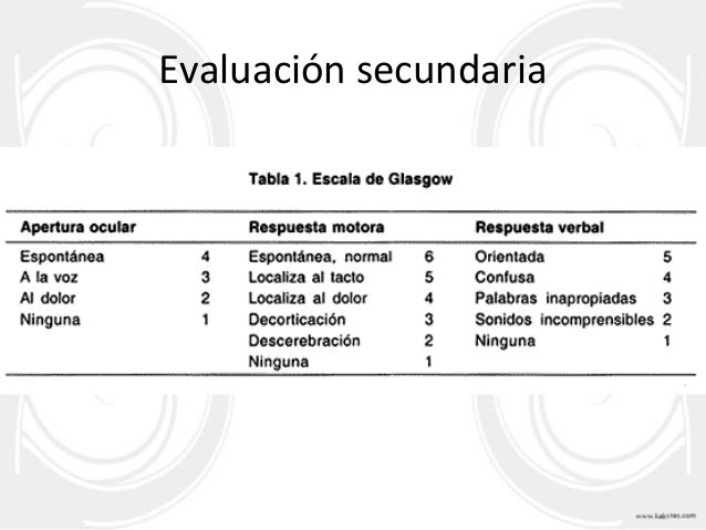 [23] evaluacion primaria y secundaria
