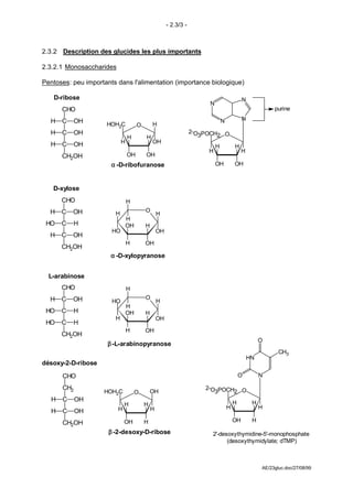 - 2.3/3 -



2.3.2 Description des glucides les plus importants

2.3.2.1 Monosaccharides

Pentoses: peu importants dans l'alimentation (importance biologique)

   D-ribose                                                                                 N
                                                                       N
       CHO                                                                                                purine

  H    C     OH                                                                N            N
                     HOH2C           O       H
  H    C     OH                                                   2-O POCH O
                                H        H                           3    2
  H    C     OH             H                OH
                                                                           H           H
                                                                       H                    H
       CH2OH                    OH       OH
                       α -D-ribofuranose                                   OH          OH



   D-xylose
       CHO                      H
  H    C   OH                            O
                        H                        H
                                H
 HO    C     H                  OH       H
                       HO                        OH
  H    C   OH
                                H        OH
       CH2OH
                       α -D-xylopyranose


  L-arabinose
       CHO                      H
  H    C   OH                            O
                       HO                        H
                                H
 HO    C     H                  OH       H
                        H                        OH
 HO    C     H
                                H        OH
       CH2OH
                                                                                                     O
                      β -L-arabinopyranose
                                                                                                            CH3
                                                                                                HN
désoxy-2-D-ribose

       CHO                                                                                 O         N

       CH2                                                            2-O POCH O
                    HOH2C            O       OH                          3    2
   H   C     OH                                                                        H         H
                              H          H                                         H                 H
   H   C     OH           H                  H

       CH2OH                  OH         H                                             OH        H

                      β -2-desoxy-D-ribose                             2'-desoxythymidine-5'-monophosphate
                                                                             (desoxythymidylate; dTMP)



                                                                                                     AE/23gluc.doc/27/08/99
 