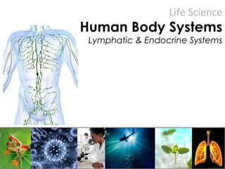 Life Science
Human Body Systems
Lymphatic & Endocrine Systems
 
