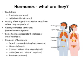 Hormones - what are they?
• Made from:
– Proteins (amino acids)
– Lipids (steroids, fatty acids)
• Usually affect organs & tissues far away from
where they are produced
• Closely connected to the CNS
(central nervous system)
• Some hormones regulate the release of
other hormones
• Examples of hormones:
– Growth Hormone (pituitary/hypothalamus)
– Melatonin (pineal)
– Epinephrine/Adrenaline (adrenal glands)
– Insulin (pancreas - islets of Langerhans)
– Testosterone (testes)
 