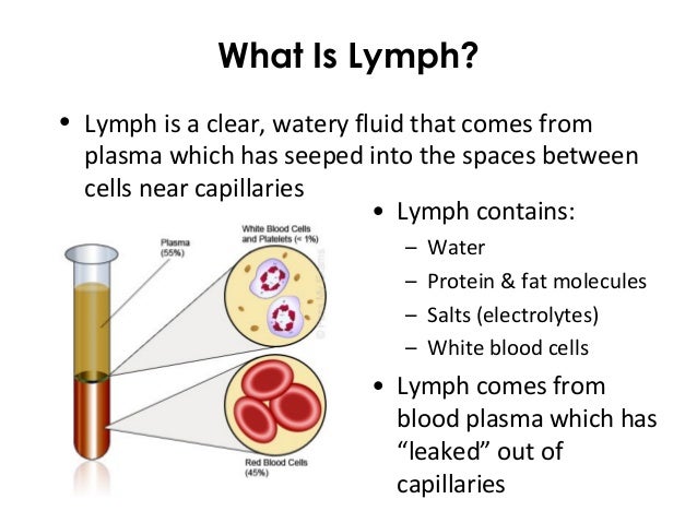 Immune and Endocrine Systems