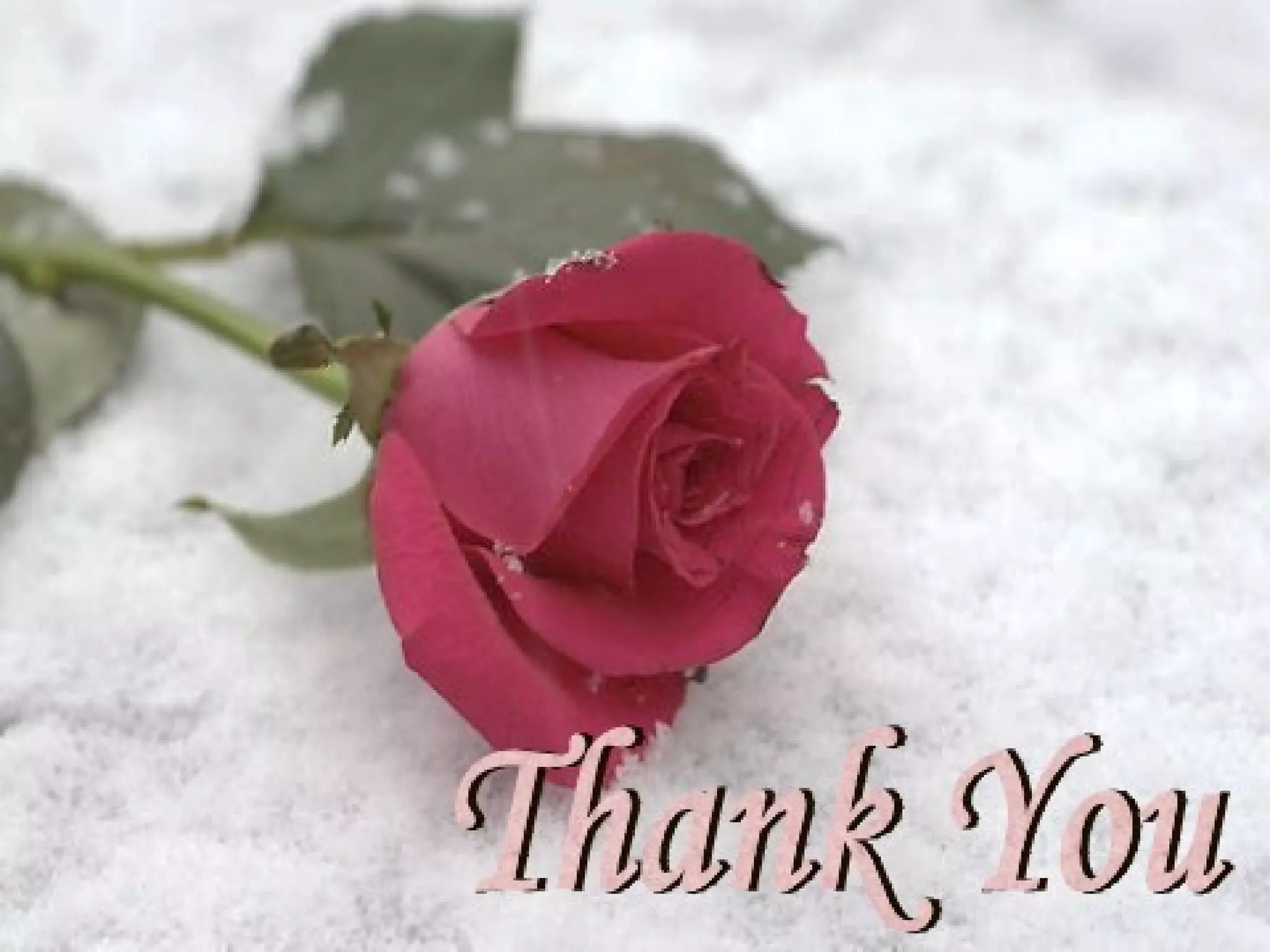 intraoperative monitoring