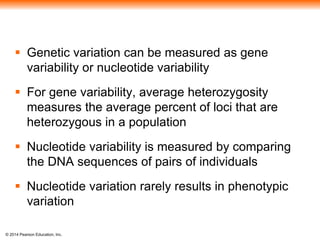  Genetic variation can be measured as gene 
variability or nucleotide variability 
 For gene variability, average heterozygosity 
measures the average percent of loci that are 
heterozygous in a population 
 Nucleotide variability is measured by comparing 
the DNA sequences of pairs of individuals 
 Nucleotide variation rarely results in phenotypic 
variation 
© 2014 Pearson Education, Inc. 
 