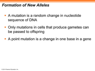 Formation of New Alleles 
 A mutation is a random change in nucleotide 
sequence of DNA 
 Only mutations in cells that produce gametes can 
be passed to offspring 
 A point mutation is a change in one base in a gene 
© 2014 Pearson Education, Inc. 
 