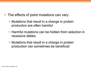  The effects of point mutations can vary 
 Mutations that result in a change in protein 
production are often harmful 
 Harmful mutations can be hidden from selection in 
recessive alleles 
 Mutations that result in a change in protein 
production can sometimes be beneficial 
© 2014 Pearson Education, Inc. 
 