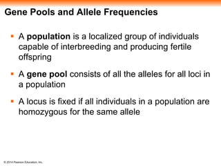Gene Pools and Allele Frequencies 
 A population is a localized group of individuals 
capable of interbreeding and producing fertile 
offspring 
 A gene pool consists of all the alleles for all loci in 
a population 
 A locus is fixed if all individuals in a population are 
homozygous for the same allele 
© 2014 Pearson Education, Inc. 
 