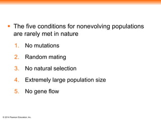  The five conditions for nonevolving populations 
are rarely met in nature 
1. No mutations 
2. Random mating 
3. No natural selection 
4. Extremely large population size 
5. No gene flow 
© 2014 Pearson Education, Inc. 
 