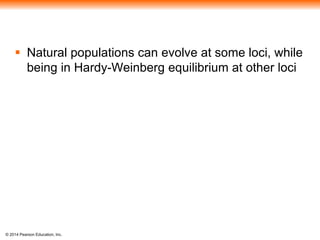  Natural populations can evolve at some loci, while 
being in Hardy-Weinberg equilibrium at other loci 
© 2014 Pearson Education, Inc. 
 