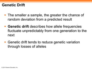 Genetic Drift 
 The smaller a sample, the greater the chance of 
random deviation from a predicted result 
 Genetic drift describes how allele frequencies 
fluctuate unpredictably from one generation to the 
next 
 Genetic drift tends to reduce genetic variation 
through losses of alleles 
© 2014 Pearson Education, Inc. 
 
