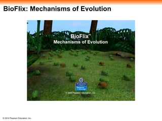 BioFlix: Mechanisms of Evolution 
© 2014 Pearson Education, Inc. 
 