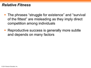 Relative Fitness 
 The phrases “struggle for existence” and “survival 
of the fittest” are misleading as they imply direct 
competition among individuals 
 Reproductive success is generally more subtle 
and depends on many factors 
© 2014 Pearson Education, Inc. 
 