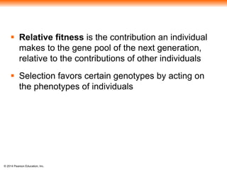 Relative fitness is the contribution an individual 
makes to the gene pool of the next generation, 
relative to the contributions of other individuals 
 Selection favors certain genotypes by acting on 
the phenotypes of individuals 
© 2014 Pearson Education, Inc. 
 