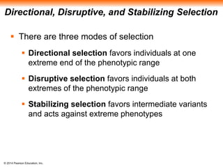 Directional, Disruptive, and Stabilizing Selection 
 There are three modes of selection 
 Directional selection favors individuals at one 
extreme end of the phenotypic range 
 Disruptive selection favors individuals at both 
extremes of the phenotypic range 
 Stabilizing selection favors intermediate variants 
and acts against extreme phenotypes 
© 2014 Pearson Education, Inc. 
 