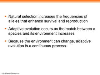  Natural selection increases the frequencies of 
alleles that enhance survival and reproduction 
 Adaptive evolution occurs as the match between a 
species and its environment increases 
 Because the environment can change, adaptive 
evolution is a continuous process 
© 2014 Pearson Education, Inc. 
 