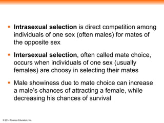  Intrasexual selection is direct competition among 
individuals of one sex (often males) for mates of 
the opposite sex 
 Intersexual selection, often called mate choice, 
occurs when individuals of one sex (usually 
females) are choosy in selecting their mates 
 Male showiness due to mate choice can increase 
a male’s chances of attracting a female, while 
decreasing his chances of survival 
© 2014 Pearson Education, Inc. 
 