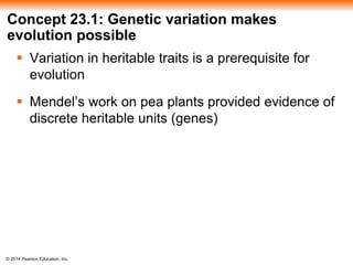 Concept 23.1: Genetic variation makes 
evolution possible 
 Variation in heritable traits is a prerequisite for 
evolution 
 Mendel’s work on pea plants provided evidence of 
discrete heritable units (genes) 
© 2014 Pearson Education, Inc. 
 