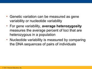 • Genetic variation can be measured as gene
variability or nucleotide variability
• For gene variability, average heterozygosity
measures the average percent of loci that are
heterozygous in a population
• Nucleotide variability is measured by comparing
the DNA sequences of pairs of individuals
© 2011 Pearson Education, Inc.
 