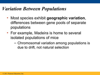 Variation Between Populations
• Most species exhibit geographic variation,
differences between gene pools of separate
populations
• For example, Madeira is home to several
isolated populations of mice
– Chromosomal variation among populations is
due to drift, not natural selection
© 2011 Pearson Education, Inc.
 