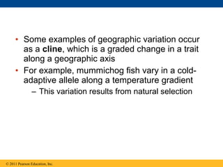 • Some examples of geographic variation occur
as a cline, which is a graded change in a trait
along a geographic axis
• For example, mummichog fish vary in a cold-
adaptive allele along a temperature gradient
– This variation results from natural selection
© 2011 Pearson Education, Inc.
 