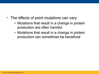 • The effects of point mutations can vary:
– Mutations that result in a change in protein
production are often harmful
– Mutations that result in a change in protein
production can sometimes be beneficial
© 2011 Pearson Education, Inc.
 