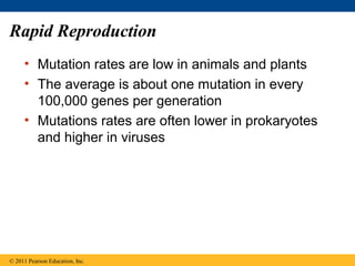 Rapid Reproduction
• Mutation rates are low in animals and plants
• The average is about one mutation in every
100,000 genes per generation
• Mutations rates are often lower in prokaryotes
and higher in viruses
© 2011 Pearson Education, Inc.
 