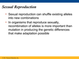Sexual Reproduction
• Sexual reproduction can shuffle existing alleles
into new combinations
• In organisms that reproduce sexually,
recombination of alleles is more important than
mutation in producing the genetic differences
that make adaptation possible
© 2011 Pearson Education, Inc.
 
