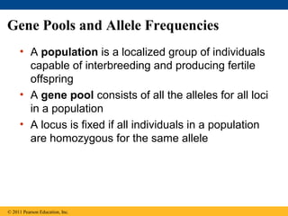 Gene Pools and Allele Frequencies
• A population is a localized group of individuals
capable of interbreeding and producing fertile
offspring
• A gene pool consists of all the alleles for all loci
in a population
• A locus is fixed if all individuals in a population
are homozygous for the same allele
© 2011 Pearson Education, Inc.
 