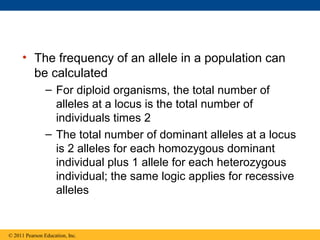 • The frequency of an allele in a population can
be calculated
– For diploid organisms, the total number of
alleles at a locus is the total number of
individuals times 2
– The total number of dominant alleles at a locus
is 2 alleles for each homozygous dominant
individual plus 1 allele for each heterozygous
individual; the same logic applies for recessive
alleles
© 2011 Pearson Education, Inc.
 