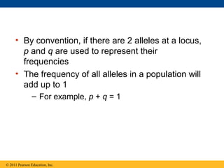 • By convention, if there are 2 alleles at a locus,
p and q are used to represent their
frequencies
• The frequency of all alleles in a population will
add up to 1
– For example, p + q = 1
© 2011 Pearson Education, Inc.
 