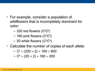 • For example, consider a population of
wildflowers that is incompletely dominant for
color:
– 320 red flowers (CR
CR
)
– 160 pink flowers (CR
CW
)
– 20 white flowers (CW
CW
)
• Calculate the number of copies of each allele:
– CR
= (320 × 2) + 160 = 800
– CW
= (20 × 2) + 160 = 200
© 2011 Pearson Education, Inc.
 