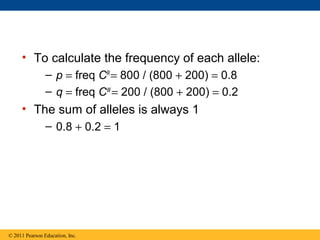 • To calculate the frequency of each allele:
– p = freq CR
= 800 / (800 + 200) = 0.8
– q = freq CW
= 200 / (800 + 200) = 0.2
• The sum of alleles is always 1
– 0.8 + 0.2 = 1
© 2011 Pearson Education, Inc.
 
