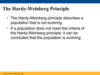 The Hardy-Weinberg Principle
• The Hardy-Weinberg principle describes a
population that is not evolving
• If a population does not meet the criteria of
the Hardy-Weinberg principle, it can be
concluded that the population is evolving
© 2011 Pearson Education, Inc.
 