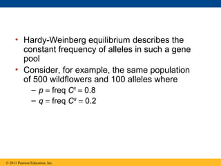 • Hardy-Weinberg equilibrium describes the
constant frequency of alleles in such a gene
pool
• Consider, for example, the same population
of 500 wildflowers and 100 alleles where
– p = freq CR
= 0.8
– q = freq CW
= 0.2
© 2011 Pearson Education, Inc.
 
