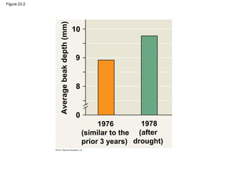 Figure 23.2
1976
(similar to the
prior 3 years)
1978
(after
drought)
Averagebeakdepth(mm)
10
9
8
0
 