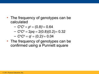 • The frequency of genotypes can be
calculated
– CR
CR
= p2
= (0.8)2
= 0.64
– CR
CW
= 2pq = 2(0.8)(0.2)= 0.32
– CW
CW
= q2
= (0.2)2
= 0.04
• The frequency of genotypes can be
confirmed using a Punnett square
© 2011 Pearson Education, Inc.
 
