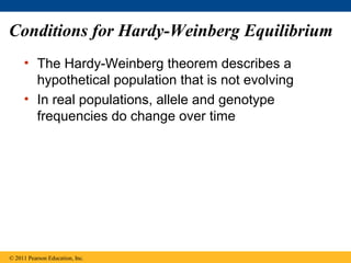 Conditions for Hardy-Weinberg Equilibrium
• The Hardy-Weinberg theorem describes a
hypothetical population that is not evolving
• In real populations, allele and genotype
frequencies do change over time
© 2011 Pearson Education, Inc.
 