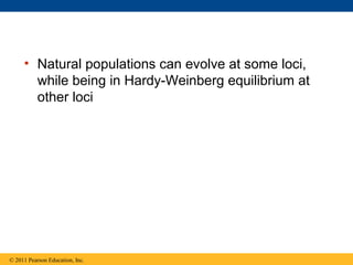 • Natural populations can evolve at some loci,
while being in Hardy-Weinberg equilibrium at
other loci
© 2011 Pearson Education, Inc.
 