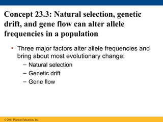 • Three major factors alter allele frequencies and
bring about most evolutionary change:
– Natural selection
– Genetic drift
– Gene flow
Concept 23.3: Natural selection, genetic
drift, and gene flow can alter allele
frequencies in a population
© 2011 Pearson Education, Inc.
 