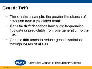 Genetic Drift
• The smaller a sample, the greater the chance of
deviation from a predicted result
• Genetic drift describes how allele frequencies
fluctuate unpredictably from one generation to the
next
• Genetic drift tends to reduce genetic variation
through losses of alleles
© 2011 Pearson Education, Inc.
Animation: Causes of Evolutionary ChangeCauses of Evolutionary Change
 