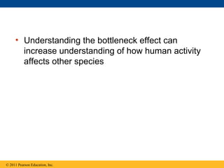 • Understanding the bottleneck effect can
increase understanding of how human activity
affects other species
© 2011 Pearson Education, Inc.
 