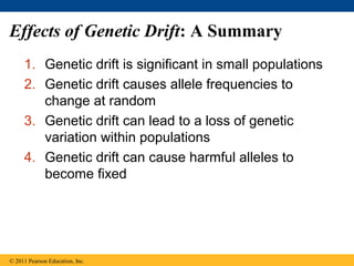 Effects of Genetic Drift: A Summary
1. Genetic drift is significant in small populations
2. Genetic drift causes allele frequencies to
change at random
3. Genetic drift can lead to a loss of genetic
variation within populations
4. Genetic drift can cause harmful alleles to
become fixed
© 2011 Pearson Education, Inc.
 