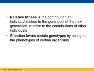 • Relative fitness is the contribution an
individual makes to the gene pool of the next
generation, relative to the contributions of other
individuals
• Selection favors certain genotypes by acting on
the phenotypes of certain organisms
© 2011 Pearson Education, Inc.
 