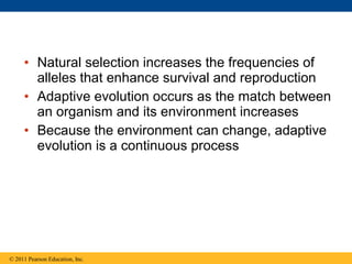 • Natural selection increases the frequencies of
alleles that enhance survival and reproduction
• Adaptive evolution occurs as the match between
an organism and its environment increases
• Because the environment can change, adaptive
evolution is a continuous process
© 2011 Pearson Education, Inc.
 