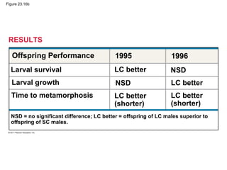 Figure 23.16b
RESULTS
Time to metamorphosis
Larval survival
Larval growth
NSD = no significant difference; LC better = offspring of LC males superior to
offspring of SC males.
Offspring Performance 1995 1996
LC better NSD
NSD
LC better
(shorter)
LC better
(shorter)
LC better
 