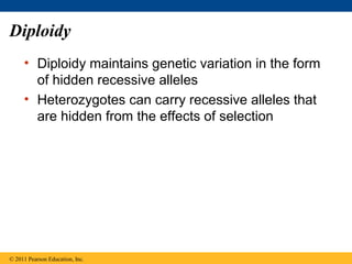 Diploidy
• Diploidy maintains genetic variation in the form
of hidden recessive alleles
• Heterozygotes can carry recessive alleles that
are hidden from the effects of selection
© 2011 Pearson Education, Inc.
 